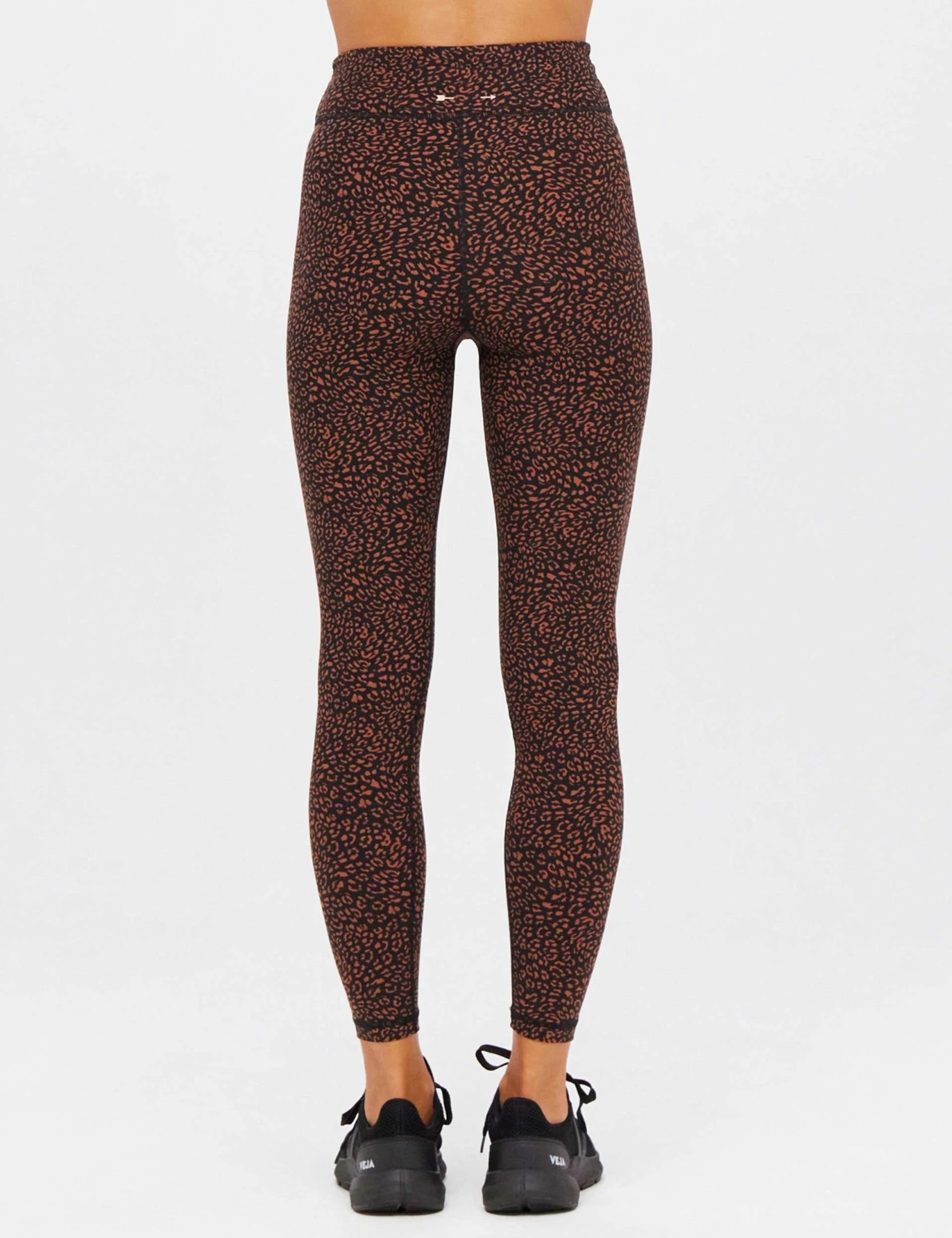 Leo 25" Midi Pant - Leopard 5 Leo 25" Midi Pant - Leopard - Image 3